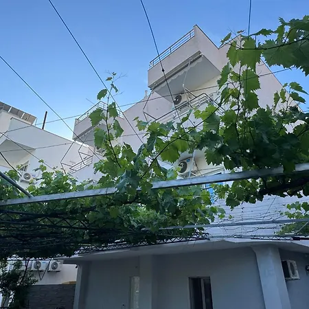 招待所 Noah 卡萨米尔